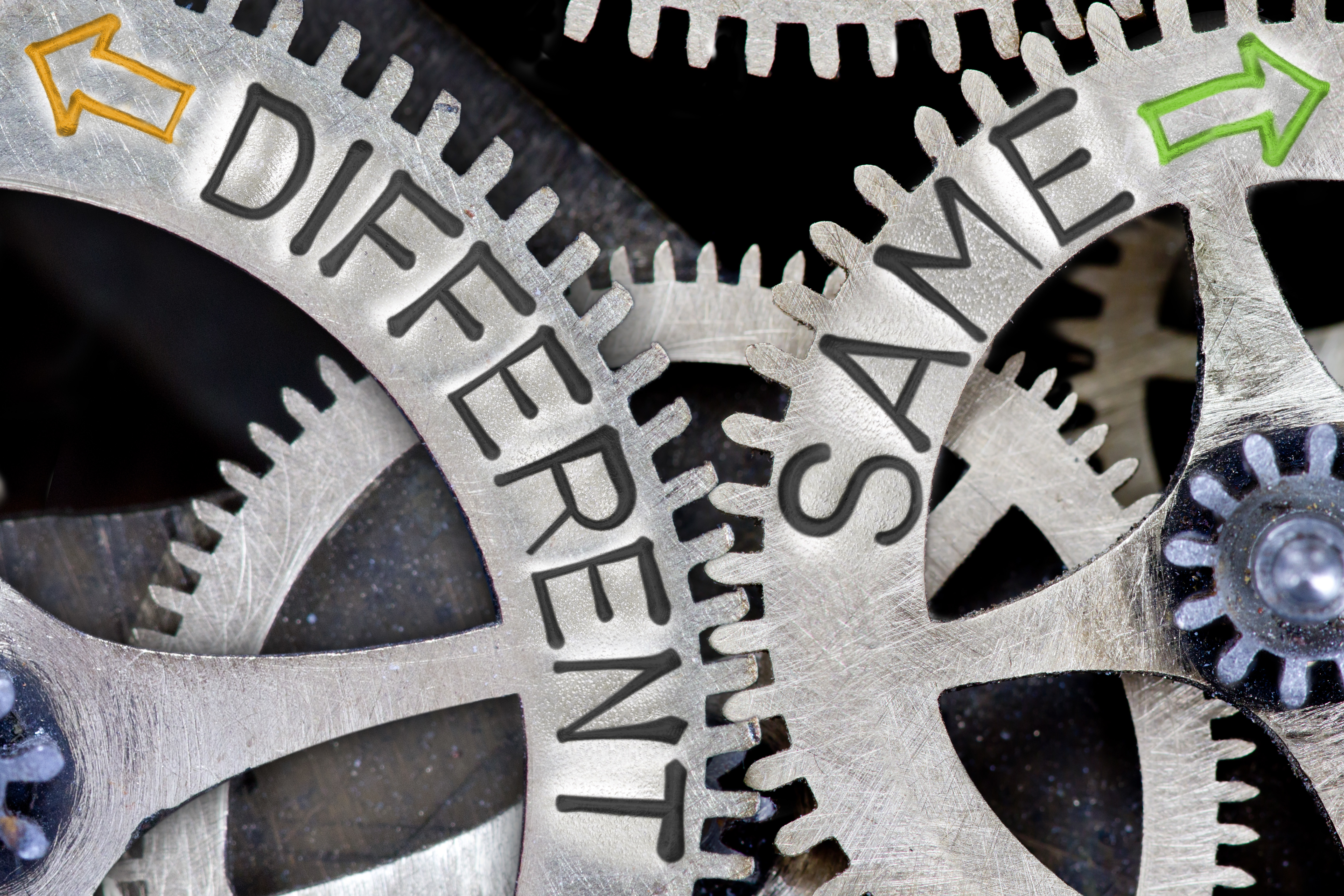 governance and diversity