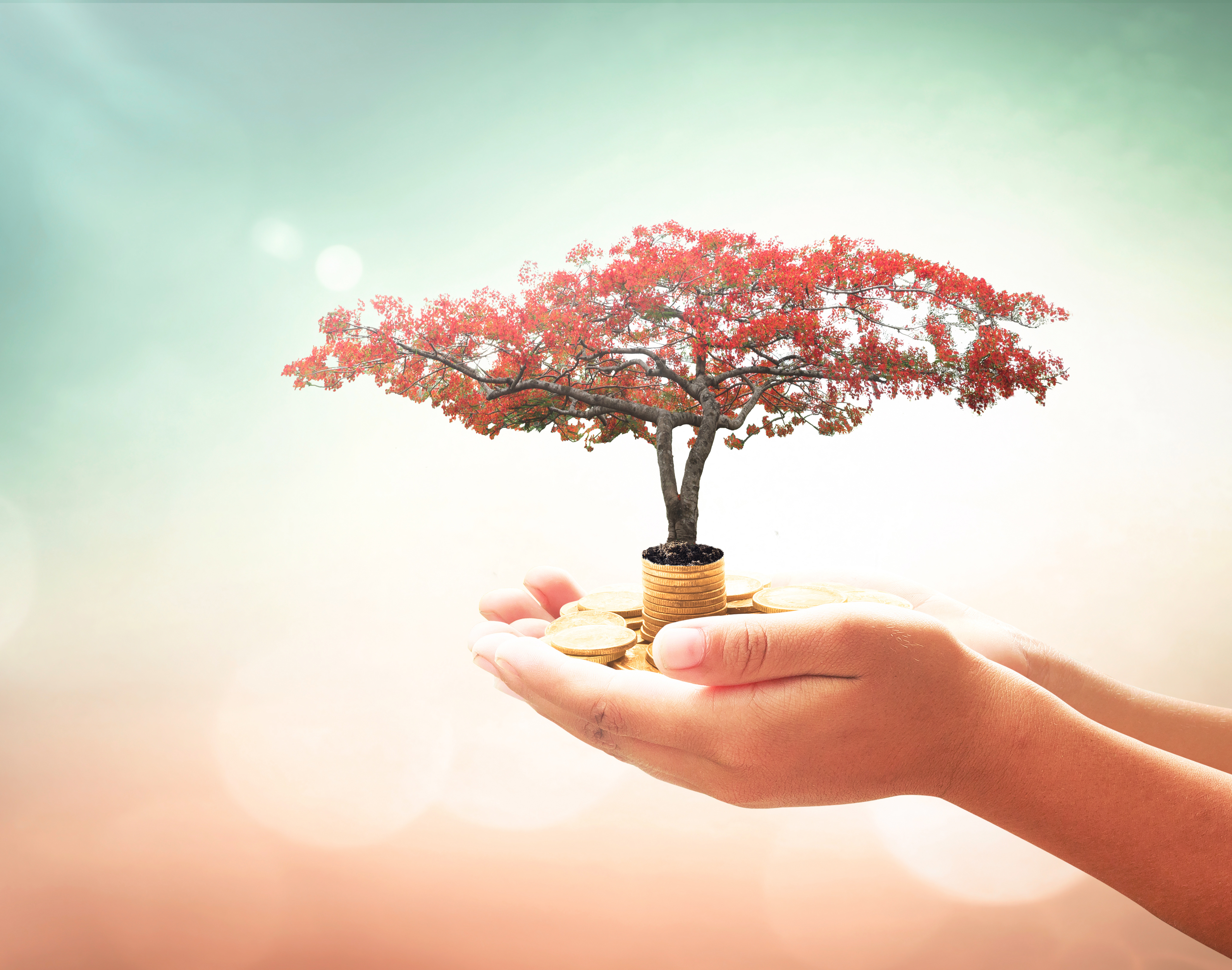 nonprofit advocacy