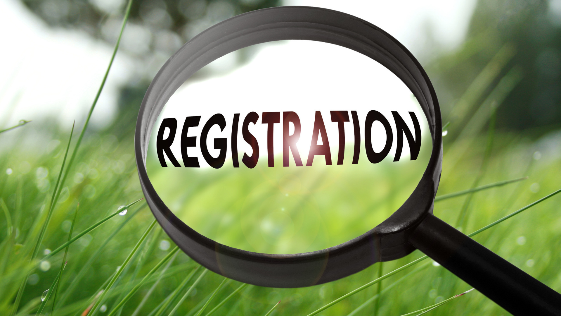proposed regulations